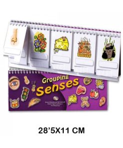 LIBRO MOVIL AGRUPAR SENSACIONES